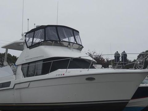 Carver 300 Ac