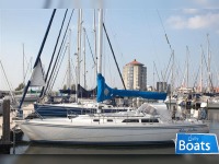 Catalina 36
