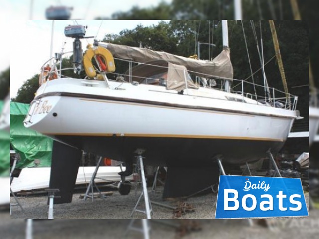 Buy 1979 Trapper 700