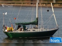 Rustler 36