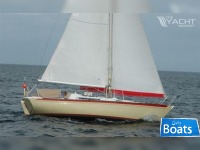 Nicholson 31