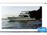 Symbol 45' Classic Trawler