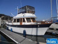 Sea Ranger Sundeck