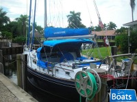 Brewer 42
