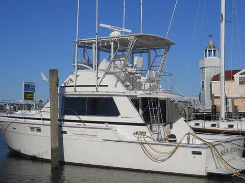 Acquistare 1980 Bertram 42 Convertible