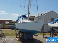 Contessa 26