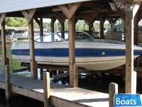 Stingray 551 Zp