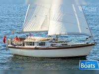 Voyager 30