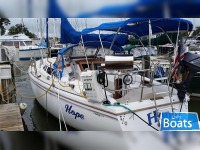 Catalina 36