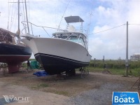 Luhrs 36 Open