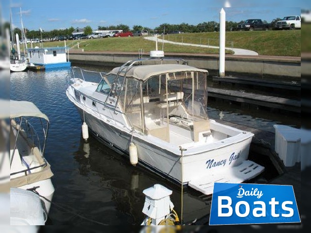 Buy 2000 Mainship Pilot