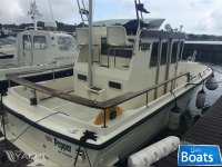 Botnia Targa 25