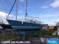  Sailfish25
