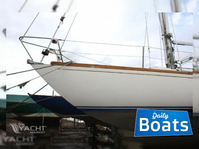 1969 She 31
