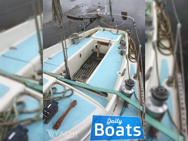 1969 She 31
