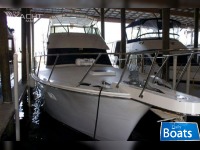 Hatteras Convertible