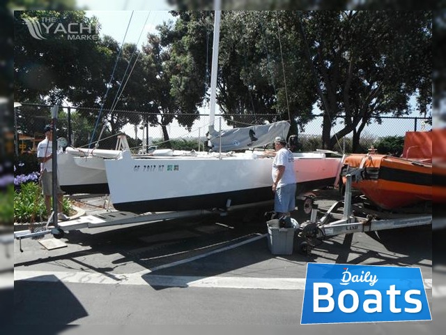 2010 Custom Built Catamaran for sale