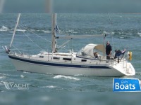 Hallberg Rassy 31