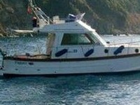 Sciallino 33 Fly