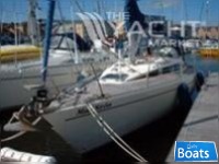 Maxi Yachts 35