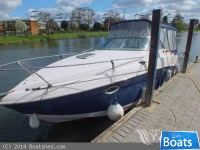 Rinker Fiesta Vee 250