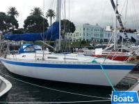 Centurion 36