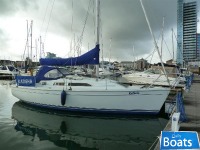 Hunter Channel 31
