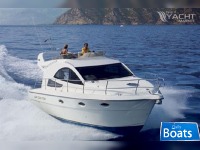 Rodman 38