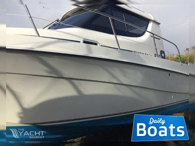 Buy 2006 Rodman 810
