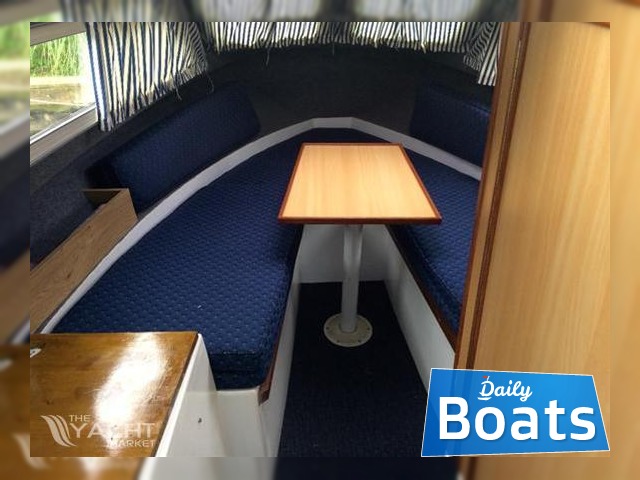 Buy 2008 Dolphin 19