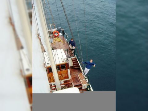 Buy 1947 Neptune 24