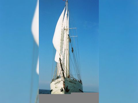 1947 Neptune 24