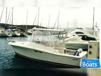 Luhrs 25
