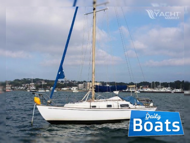 concord 26s for sale