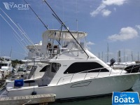 Cabo Yachts 43 Covertible