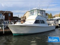 Henriques 38 Sportfisherman