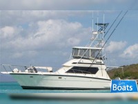 Hatteras Convertible