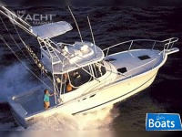 Luhrs Tournament 320 Open