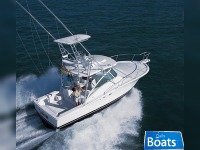 Luhrs 32 Open