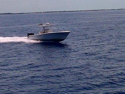 Buy 2008 Invincible 33 Cc