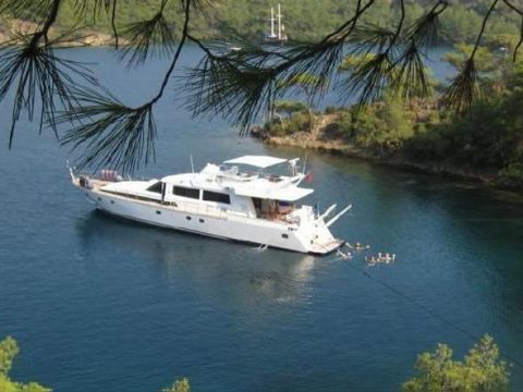 Custom Steel 80 Ft