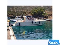 GAGLIOTTA 32