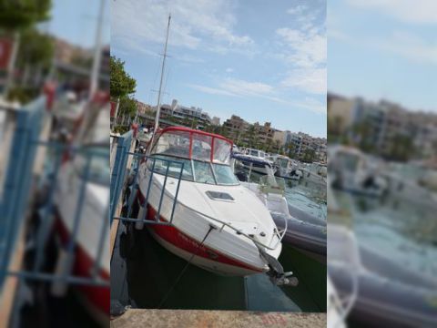 2006 Rinker 296 προς πώληση