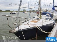 Achilles 9m