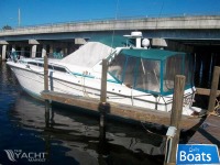 Sea Ray 390 Express Cruiser