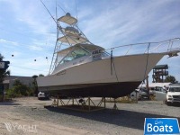 Cabo 35 Express