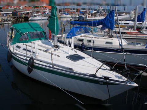 Købe 1979 Mamba 31