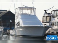 Luhrs Convertible