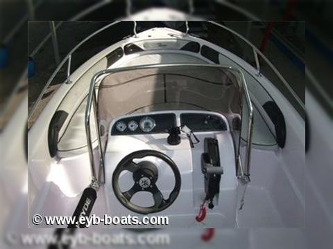 2012 Ranieri 17 for sale