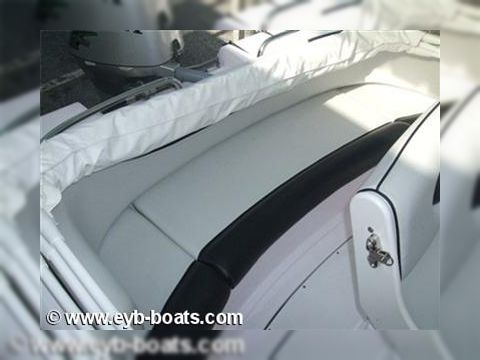 2012 Ranieri 17 for sale